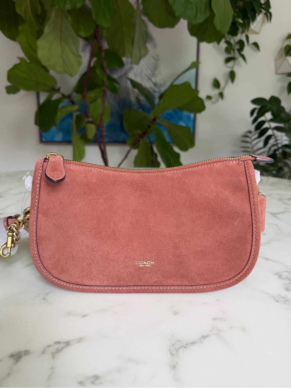 NWT Coach Waverly Bag Brass / Clay Suede Crossbody Shoulder Bag CDD78 - Picture 2 of 14